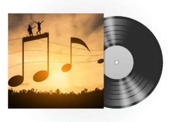 Cleaning set for vinyl records